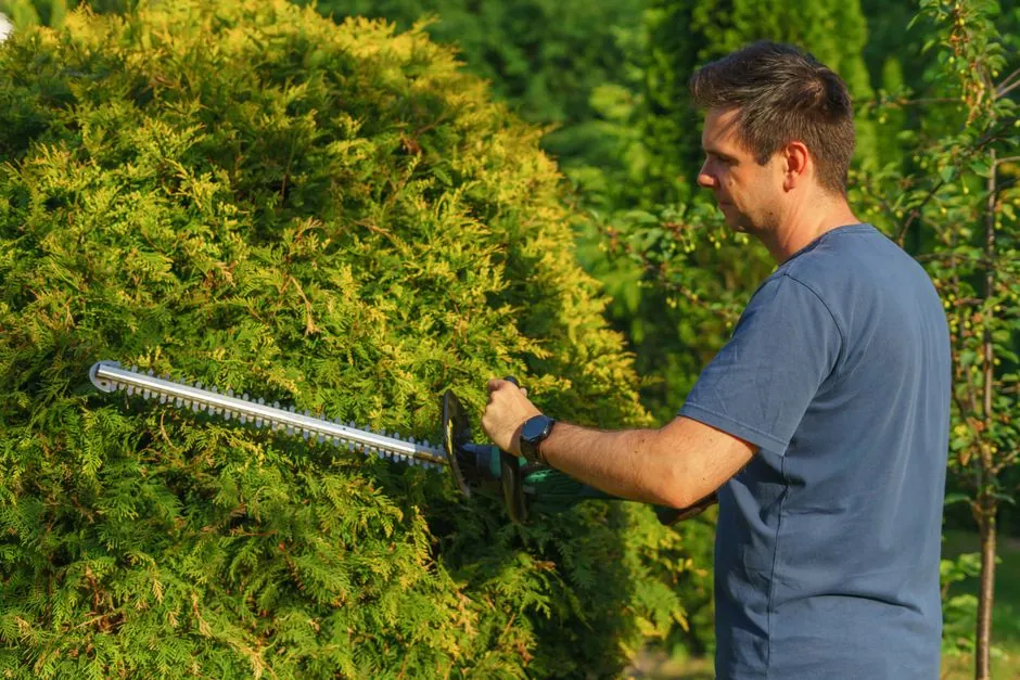 Jardin entretenu par Jackel Espaces Verts au Mans